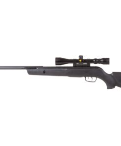 Carabine Gamo Big Cat 1250 Turbo — puissance et précision à petit prix