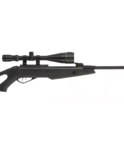 Carabine Gamo Whisper IGT — silence, puissance et précision