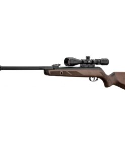 Carabine Gamo Hunter 440 AS Combo — la valeur sûre pour le tir loisir